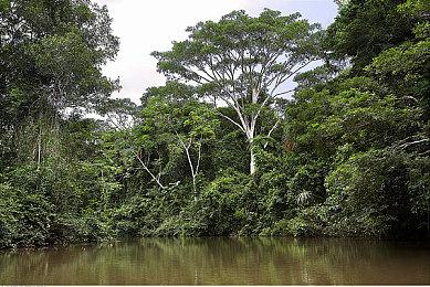 彭博社：暴雪网易闹掰关键在于对中国玩家数据控制权意见不一